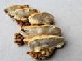 Antrodia serialis - Reihige Tramete - Walbeck