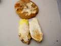 Hemileccinum impolitum - Fahler Rhrling - Weferlingen