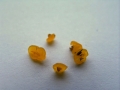 Dacryomyces capitatus - Bewurzelte Gallerttrne - Weferlingen