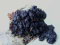 Exidia nigricans - Warziger Drsling; Hexenbutter - Hdingen