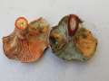 Lactarius&nbsp;quieticolor&nbsp;-&nbsp;Brauner Kiefern-Blutreizker&nbsp;-&nbsp;Walbeck