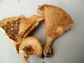 Lactarius&nbsp;zonarius&nbsp;-&nbsp;Sch�ner Zonen - Milchling&nbsp;-&nbsp;Weferlingen