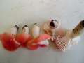 Buchen-Spei-Tubling