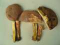 Hortiboletus engelii - Eichen-Filzrhrling - Weferlingen