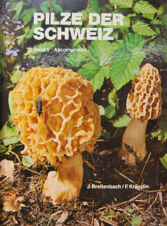 Pilze der Schweiz : Beitrag zur Kenntnis der Pilzflora der Schweiz. Band 1: Ascomyceten (Schlauchpilze).
