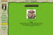 www.comphob.de