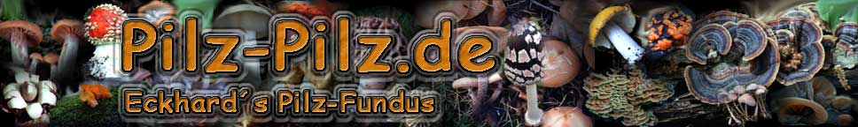 Pilz-Pilz.de - Eckhards Pilzfundus